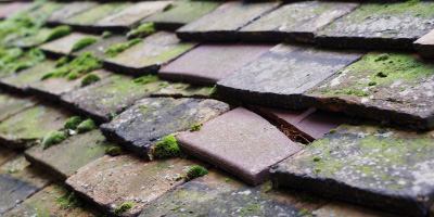 Hazel Grove roof repair costs